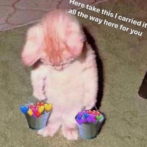 2019天天日天天拍夜夜爽
